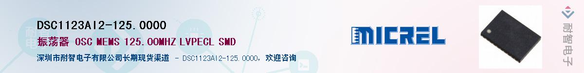 DSC1123AI2-125.0000Ӧ-ǵ