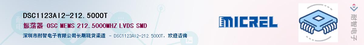 DSC1123AI2-212.5000TӦ-ǵ