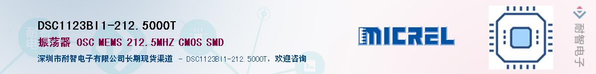 DSC1123BI1-212.5000TӦ-ǵ