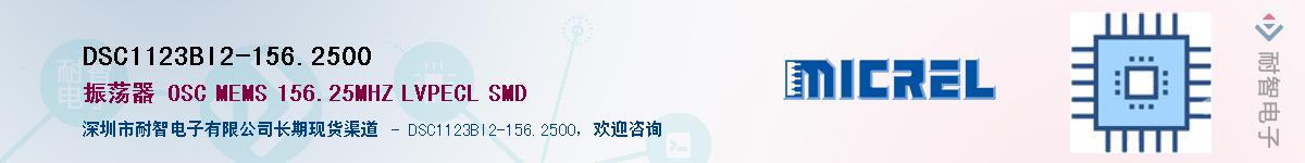 DSC1123BI2-156.2500Ӧ-ǵ