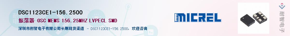 DSC1123CE1-156.2500Ӧ-ǵ