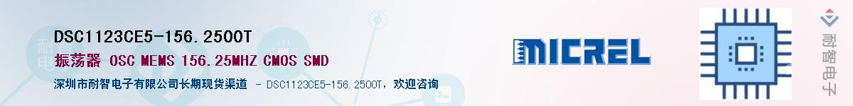 DSC1123CE5-156.2500TӦ-ǵ