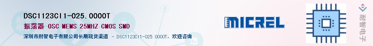 DSC1123CI1-025.0000TӦ-ǵ