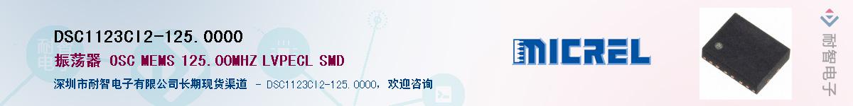 DSC1123CI2-125.0000Ӧ-ǵ