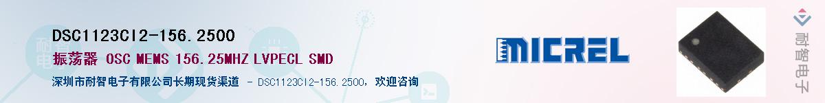 DSC1123CI2-156.2500Ӧ-ǵ