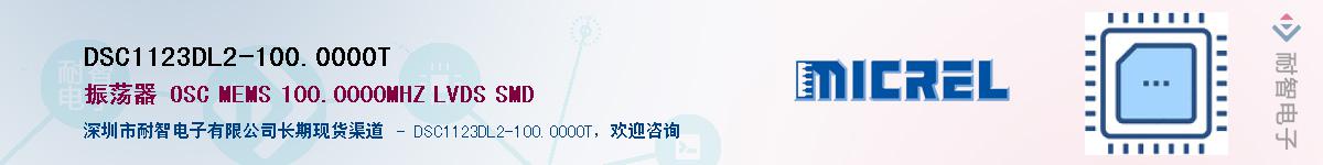 DSC1123DL2-100.0000TӦ-ǵ