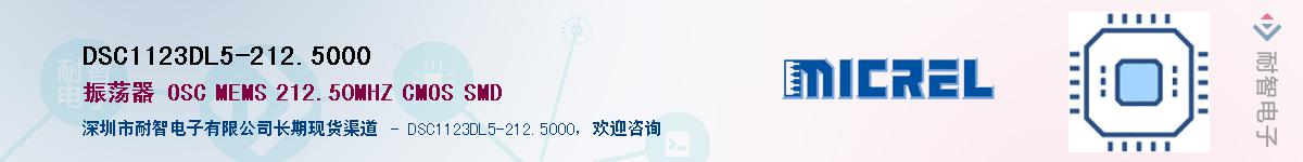 DSC1123DL5-212.5000Ӧ-ǵ