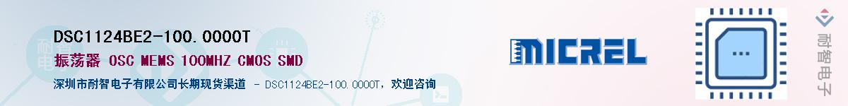 DSC1124BE2-100.0000TӦ-ǵ