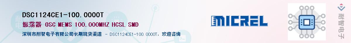 DSC1124CE1-100.0000TӦ-ǵ