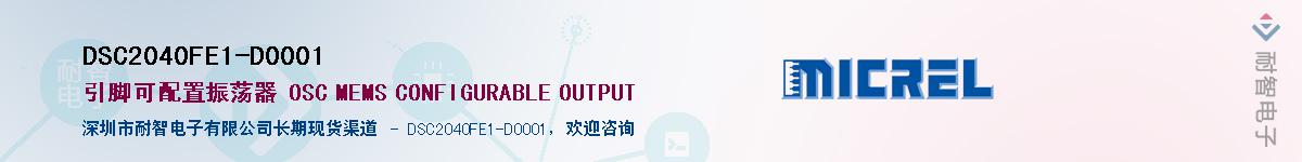 DSC2040FE1-D0001Ӧ-ǵ