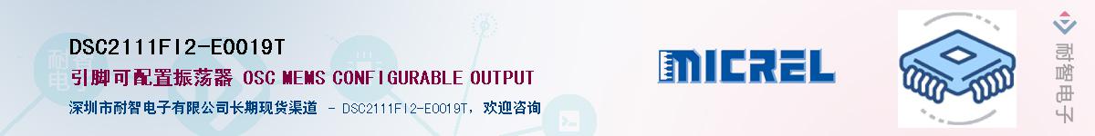 DSC2111FI2-E0019TӦ-ǵ