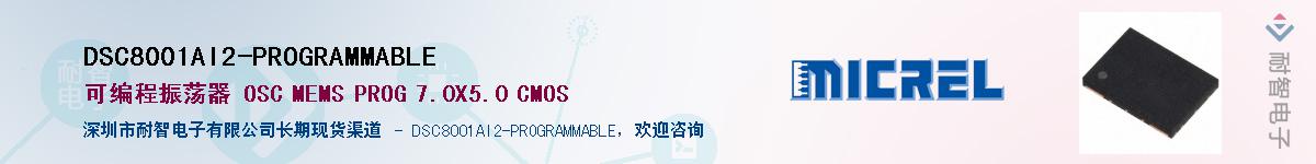 DSC8001AI2-PROGRAMMABLEӦ-ǵ