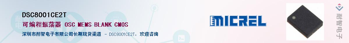 DSC8001CE2T供应商-耐智电子