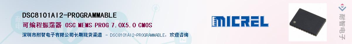 DSC8101AI2-PROGRAMMABLEӦ-ǵ