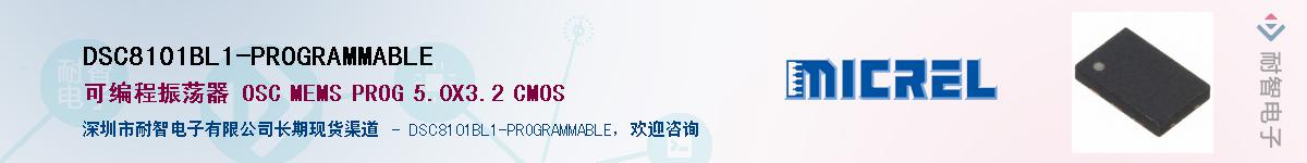 DSC8101BL1-PROGRAMMABLEӦ-ǵ