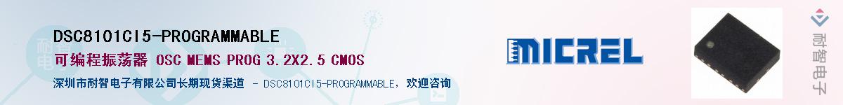 DSC8101CI5-PROGRAMMABLEӦ-ǵ