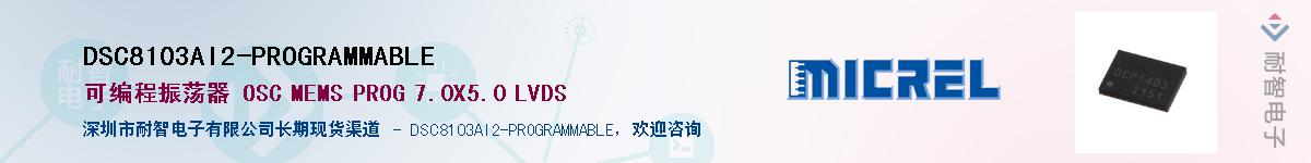 DSC8103AI2-PROGRAMMABLEӦ-ǵ