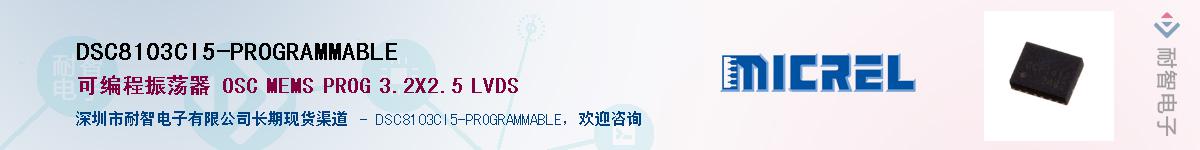 DSC8103CI5-PROGRAMMABLEӦ-ǵ