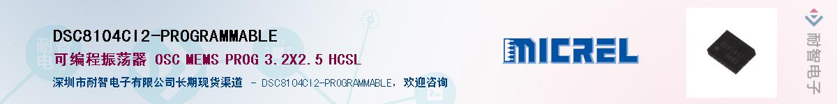 DSC8104CI2-PROGRAMMABLEӦ-ǵ