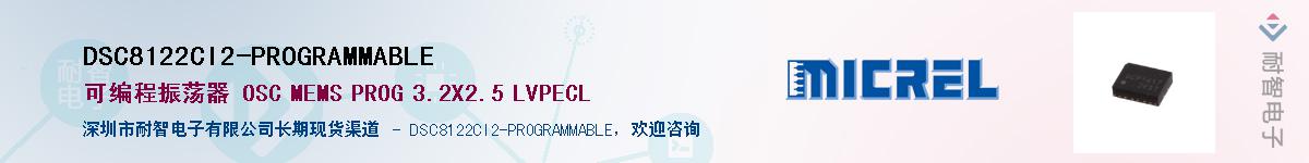 DSC8122CI2-PROGRAMMABLEӦ-ǵ