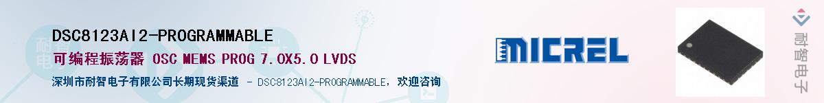 DSC8123AI2-PROGRAMMABLEӦ-ǵ