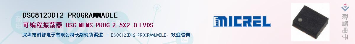 DSC8123DI2-PROGRAMMABLEӦ-ǵ
