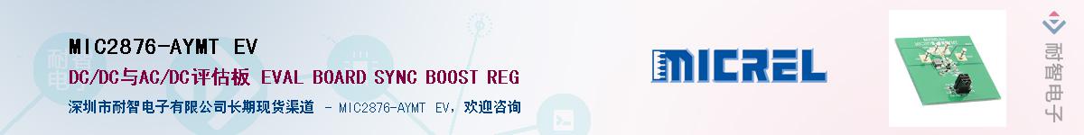 MIC2876-AYMT EVӦ-ǵ