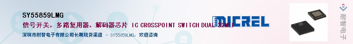 SY55859LMGӦ-ǵ