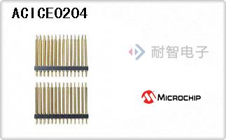 ACICE0204