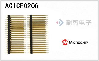 ACICE0206