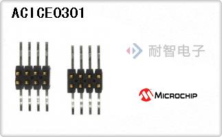 ACICE0301