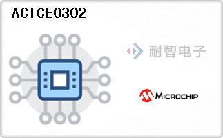 ACICE0302