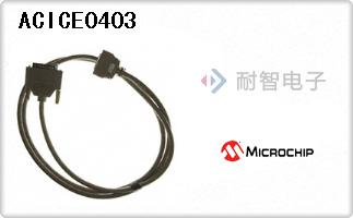 ACICE0403