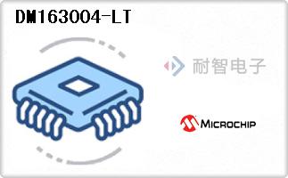 DM163004-LT