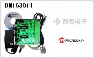 DM163011