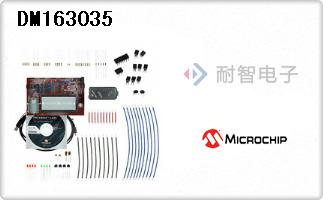 DM163035