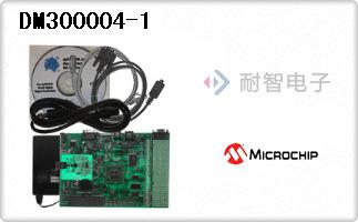 DM300004-1