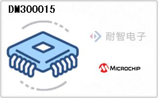 DM300015