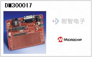 DM300017
