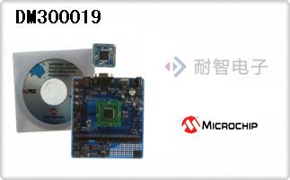 DM300019