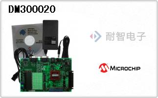 DM300020