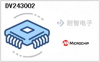 DV243002