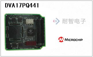 DVA17PQ441