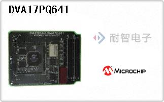 DVA17PQ641