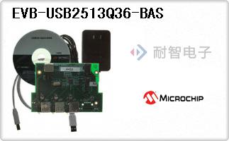 EVB-USB2513Q36-BAS