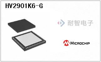 HV2901K6-G
