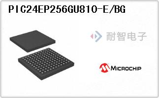 PIC24EP256GU810-E/BG