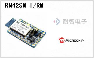 RN42SM-I/RM
