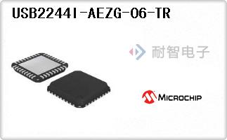 USB2244I-AEZG-06-TR