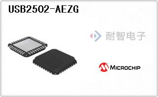 USB2502-AEZG